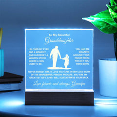 Meaningful Granddaughter Gift, Square Acrylic Plaque Keepsake, Square Acrylic Plaque for Granddaughter, To My Granddaughter