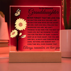 Granddaughter Gift Acrylic, Meaningful Loving Keepsake, Elegant Display for Cherished Memories, To My Beautiful Granddaughter