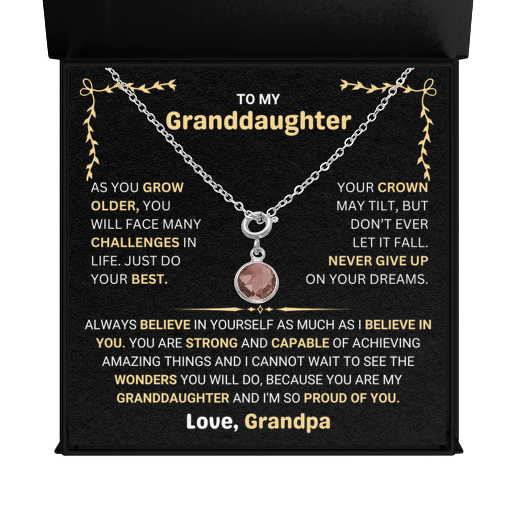 January Birthstone Necklace gift for Granddaughter from Grandpa