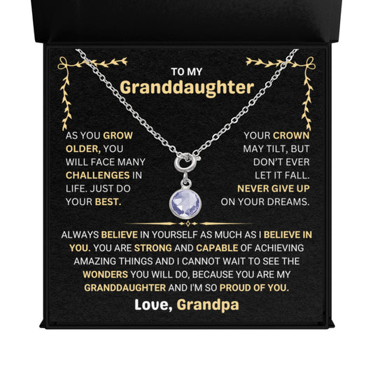 January Birthstone Necklace gift for Granddaughter from Grandpa