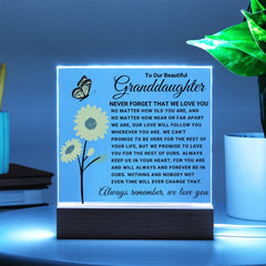 Granddaughter Gift Acrylic, Meaningful Loving Keepsake, Elegant Display for Cherished Memories, To My Beautiful Granddaughter