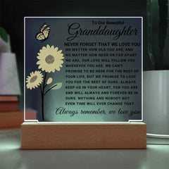 Granddaughter Gift Acrylic, Meaningful Loving Keepsake, Elegant Display for Cherished Memories, To My Beautiful Granddaughter