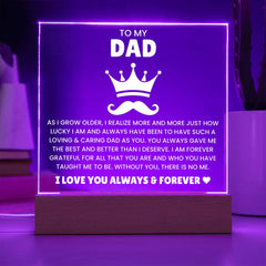 Heartfelt Gifts for Dad from Daughter, Engraved Acrylic Night Light, To My Dad