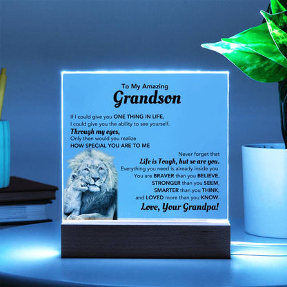 Amazing Gift for Grandson - LED Acrylic Plaque