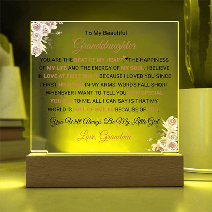 To My Granddaughter Acrylic Plaque with Wooden Base