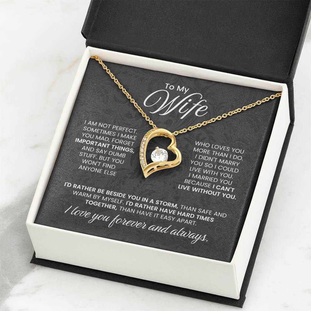 Special Gift for Wife - Romantic Jewelry from Husband for Valentine’s Day or Birthday - Forever Love Necklace