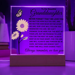 Granddaughter Gift Acrylic, Meaningful Loving Keepsake, Elegant Display for Cherished Memories, To My Beautiful Granddaughter